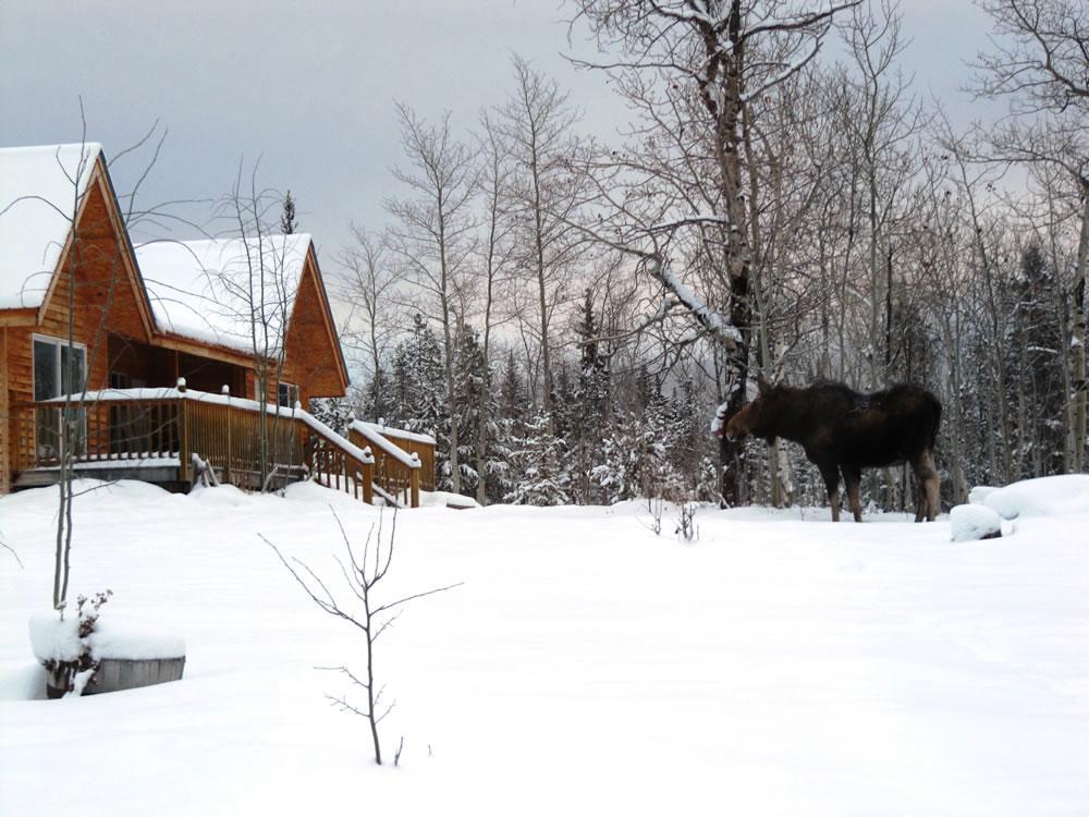 Eagle Bear Lodge Tatla Lake 外观 照片