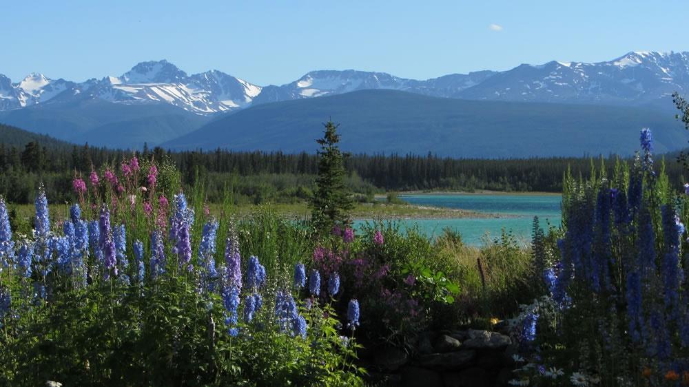 Eagle Bear Lodge Tatla Lake 外观 照片